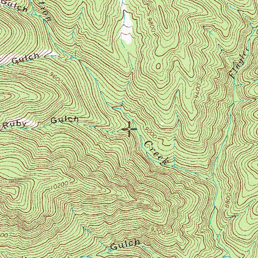 Topographic Map of Little Ruby Gulch, CO