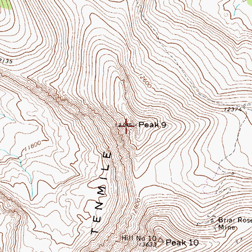 Topographic Map of Peak Nine, CO