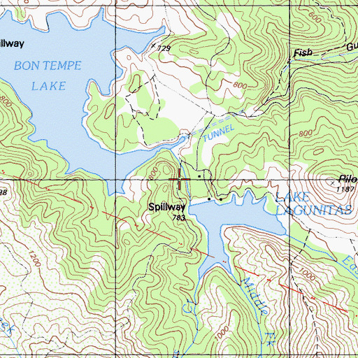 Topographic Map of Lagunitas Picnic Grounds, CA
