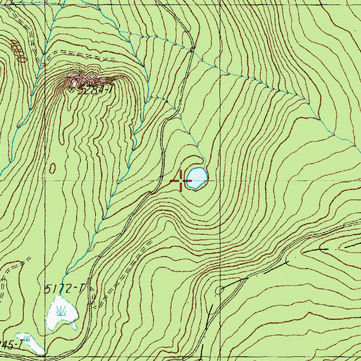 Topographic Map of Bug Lake, OR