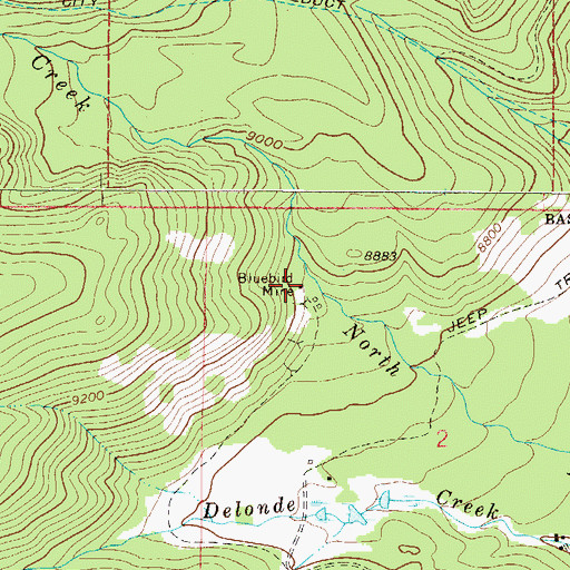 Topographic Map of Bluebird Mine, CO