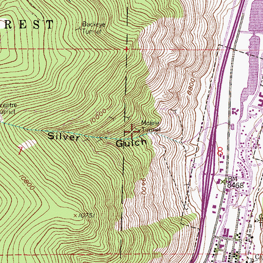 Topographic Map of Moline Tunnel, CO