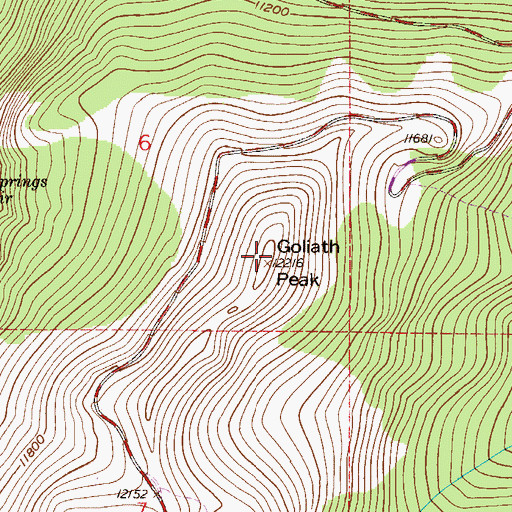 Topographic Map of Goliath Peak, CO