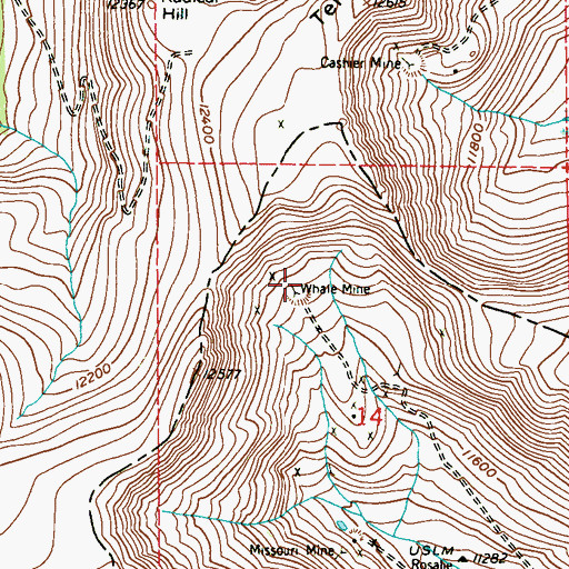 Topographic Map of Whale Mine, CO