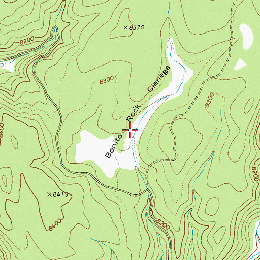 Topographic Map of Bonito Rock Cienega, AZ