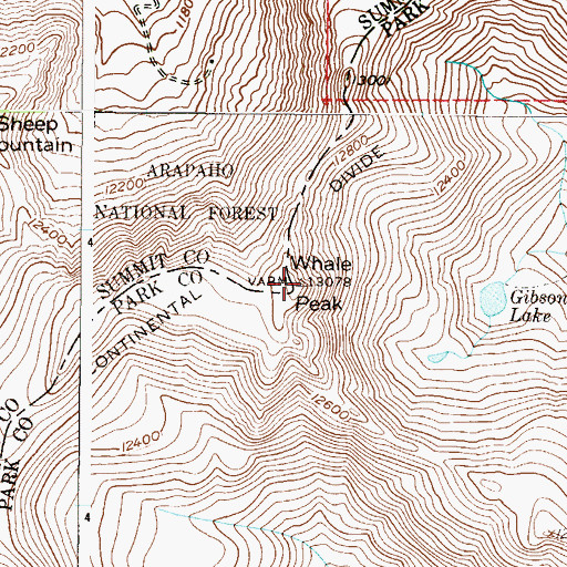 Topographic Map of Whale Peak, CO