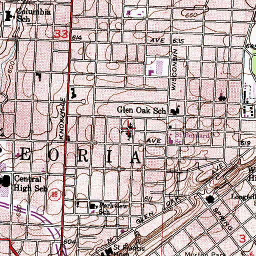 Topographic Map of Saint Bernards Church, IL