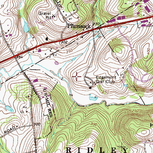 Topographic Map of Plumsock Run, PA