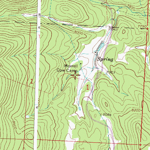 Topographic Map of Morrell Cow Camp, CO