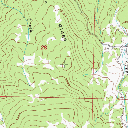 Topographic Map of Snowline Ridge, CO