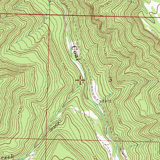 Topographic Map of Little Gunnison Creek, CO
