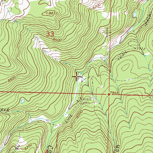 Topographic Map of Navajo Gulch, CO