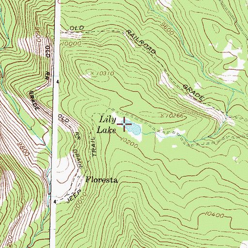 Topographic Map of Lily Lake, CO