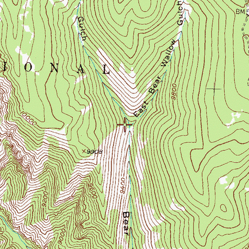 Topographic Map of East Bear Wallow Gulch, CO