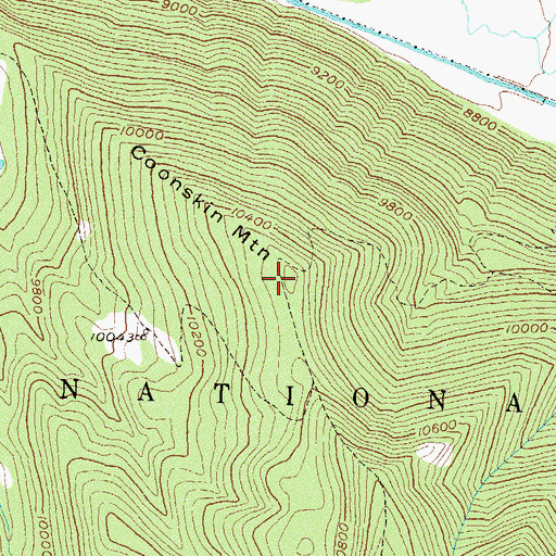 Topographic Map of Coonskin Mountain, CO