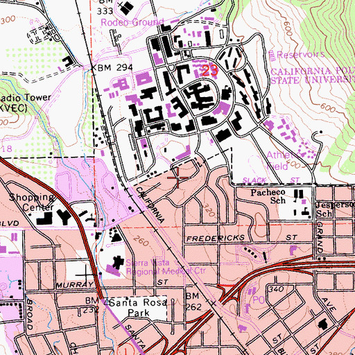 Topographic Map of Newman Catholic Center, CA