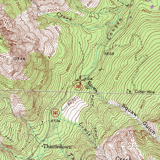 Topographic Map of Squaw Gulch, CO