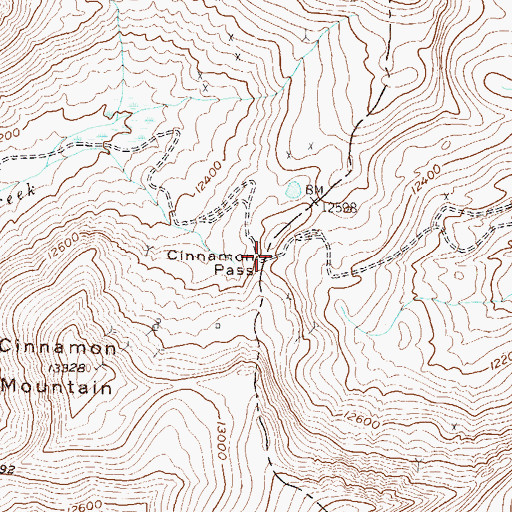 Topographic Map of Cinnamon Pass, CO