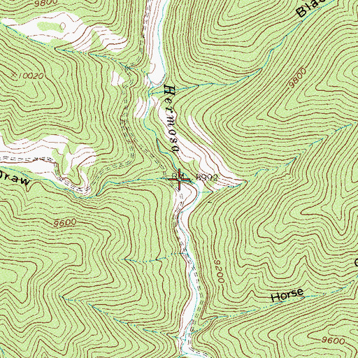 Topographic Map of Hotel Draw, CO