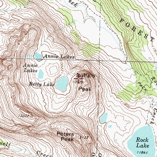 Topographic Map of Buffalo Peak, CO