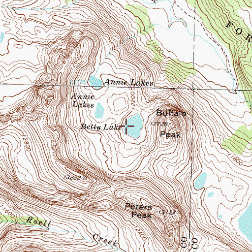 Topographic Map of Betty Lake, CO