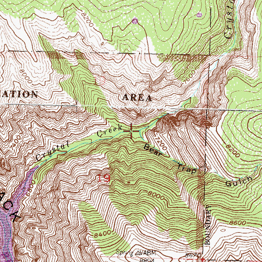 Topographic Map of Bear Trap Gulch, CO