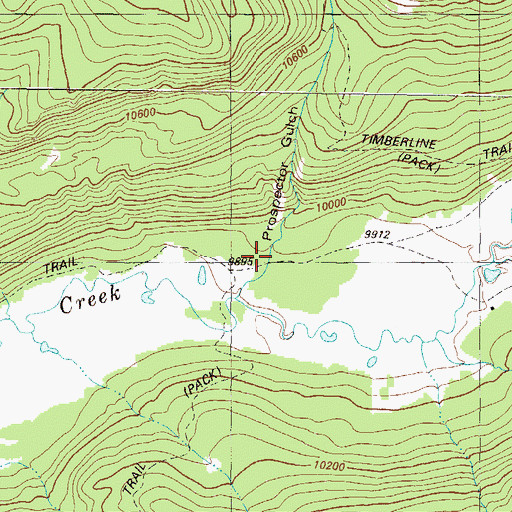 Topographic Map of Prospector Gulch, CO