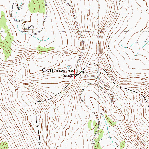 Topographic Map of Cottonwood Pass, CO