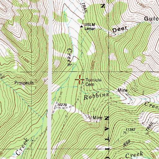Topographic Map of Tomichi Cemetery, CO