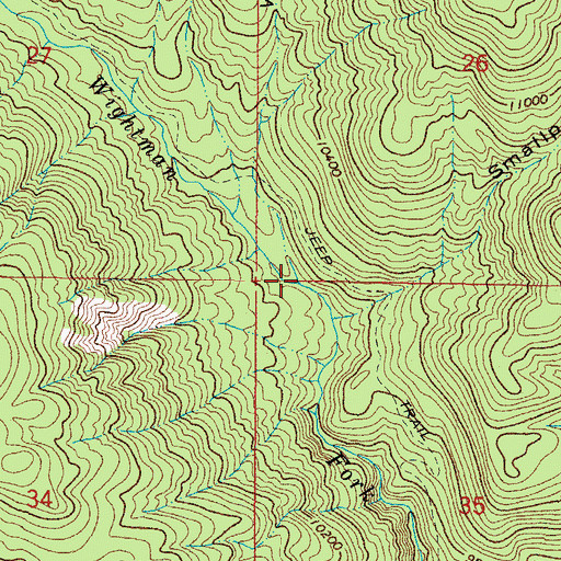 Topographic Map of Witney Gulch, CO