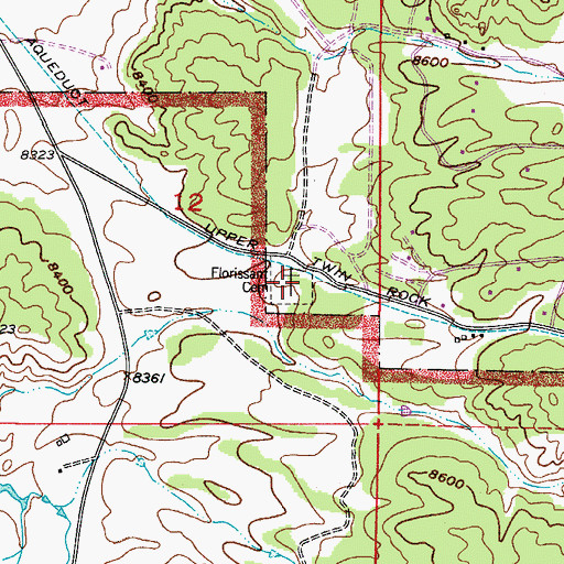 Topographic Map of Florissant Cemetery, CO