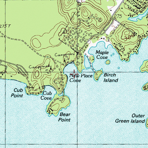 Topographic Map of New Place Cove, ME