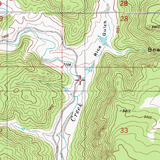 Topographic Map of Rice Gulch, CO