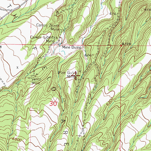 Topographic Map of Pine Gulch Mines, CO
