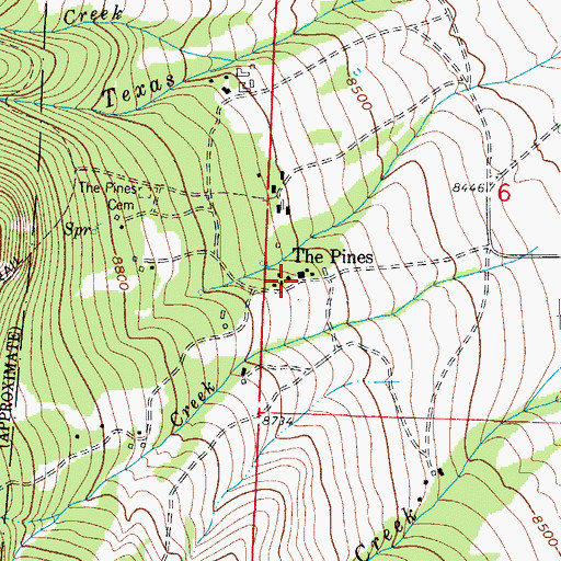 Topographic Map of The Pines, CO