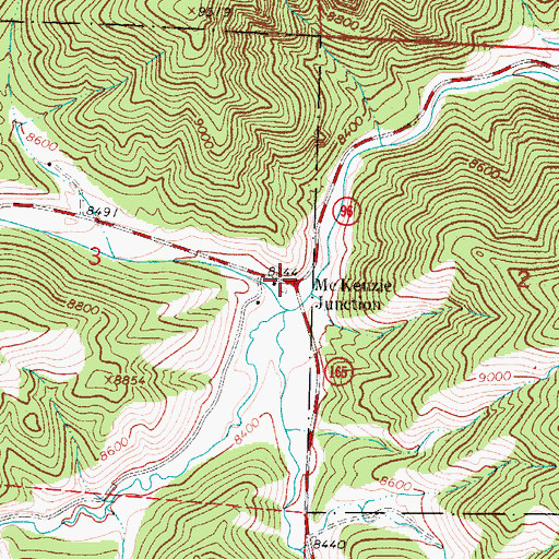 Topographic Map of McKenzie Junction, CO