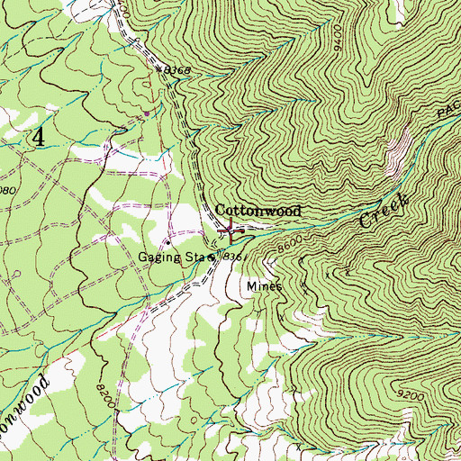 Topographic Map of Cottonwood, CO