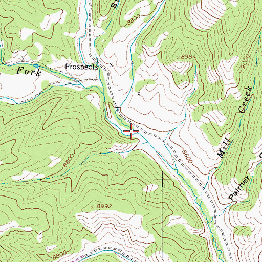 Topographic Map of Grayback Creek, CO