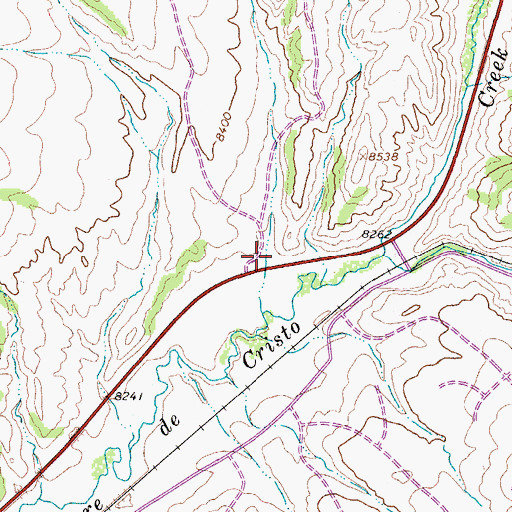 Topographic Map of Gomer Gulch, CO