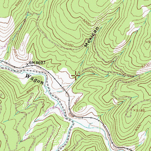 Topographic Map of Mexican Canyon, CO