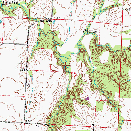 Topographic Map of Walsh Election Precinct, IL