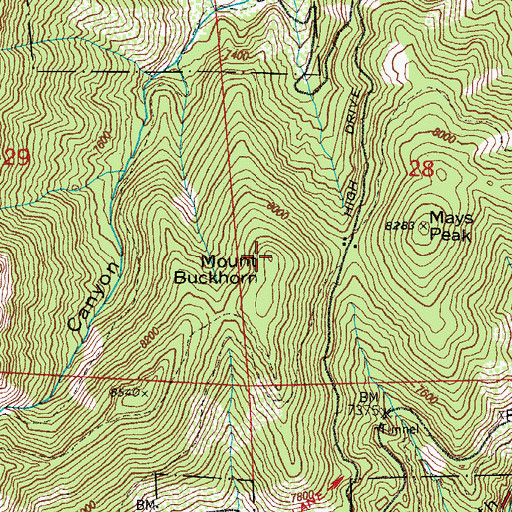 Topographic Map of Mount Buckhorn, CO