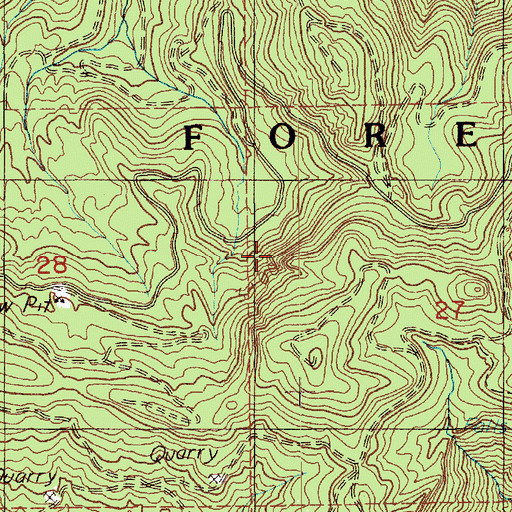 Topographic Map of Mineral Division, WA