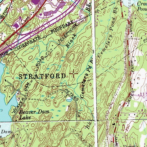 Topographic Map of Roosevelt Forest, CT