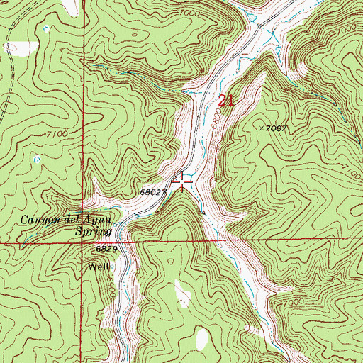 Topographic Map of Canyon Bonito, CO