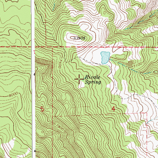 Topographic Map of Rivale Spring, CO