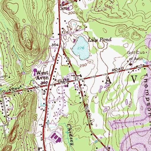 Topographic Map of West Avon Cemetery, CT