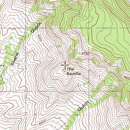 Topographic Map of The Saddle, CO