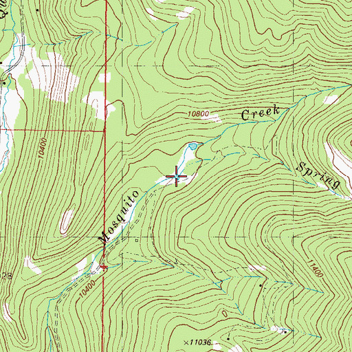 Topographic Map of Spring Branch, CO
