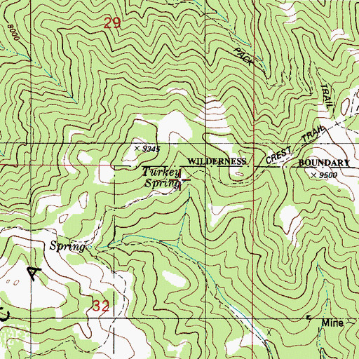 Topographic Map of Turkey Spring, NM
